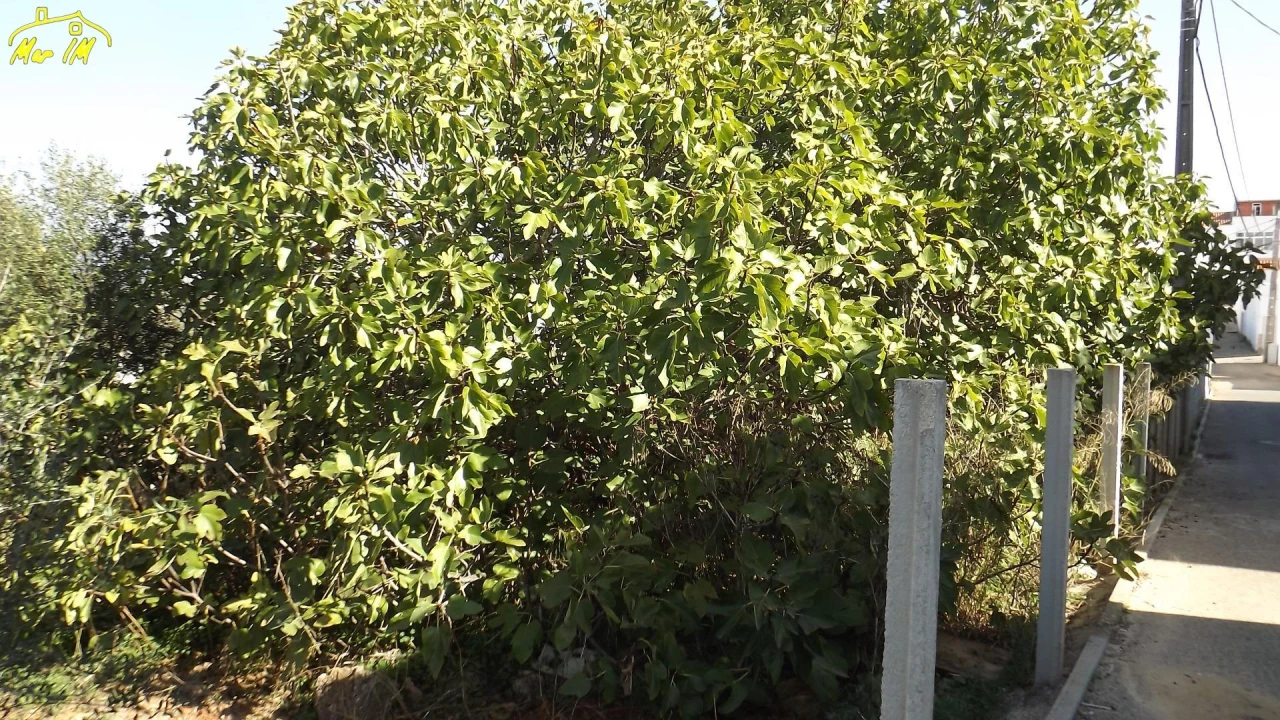 Terreno para Venda em Portimão Foto 8