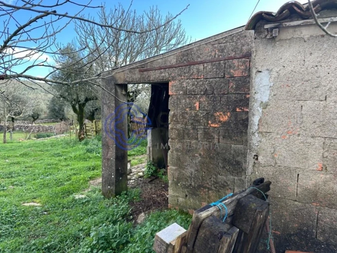 Moradia T2 para Venda em Alvados e Alcaria Foto 19