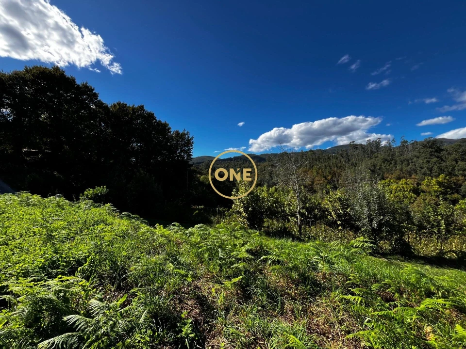 Terreno para Venda em Souto Foto 3