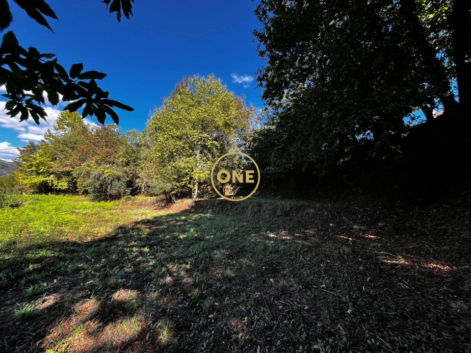 Terreno para Venda em Souto Foto 2