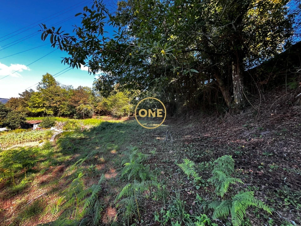 Terreno para Venda em Souto Foto 9