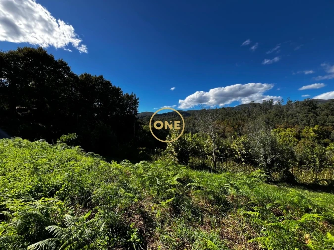 Terreno para Venda em Souto Foto 3
