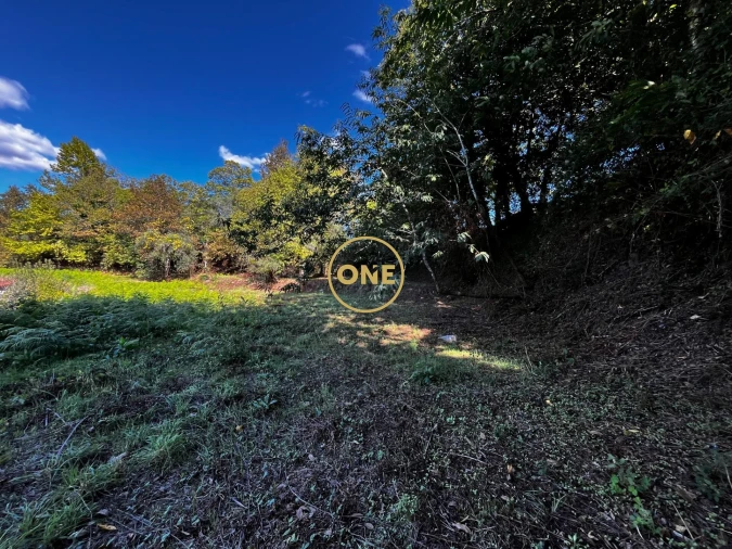 Terreno para Venda em Souto