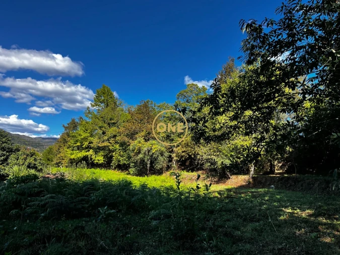 Terreno para Venda em Souto Foto 6