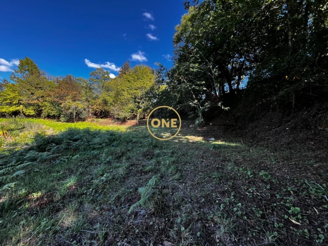 Terreno para Venda em Souto Foto 5