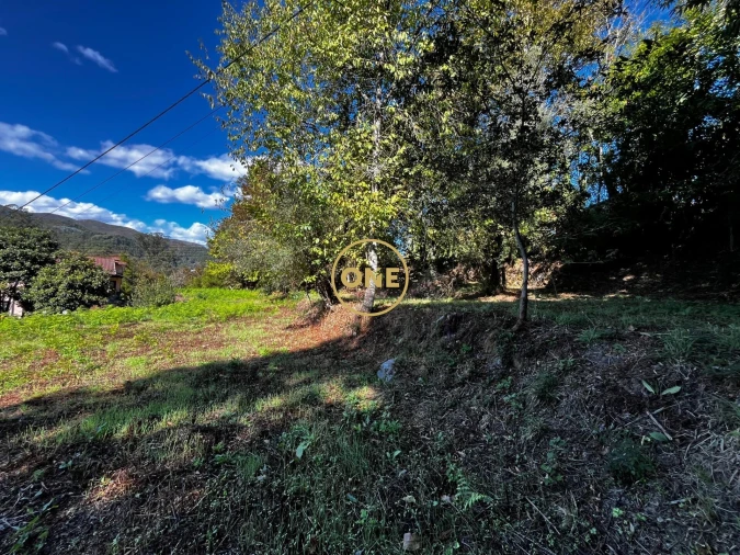 Terreno para Venda em Souto Foto 7
