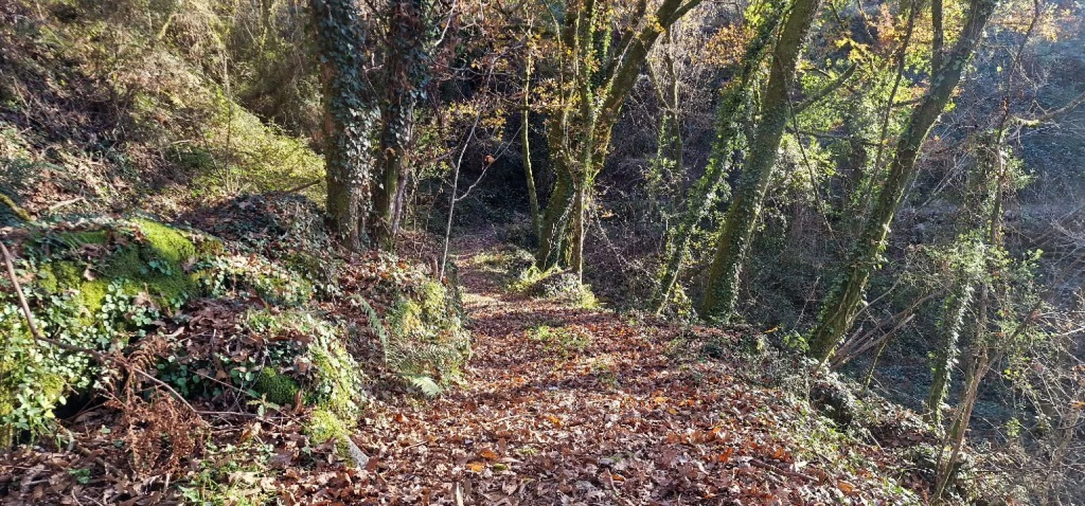 Quinta para Venda em Mosteiro Foto 19