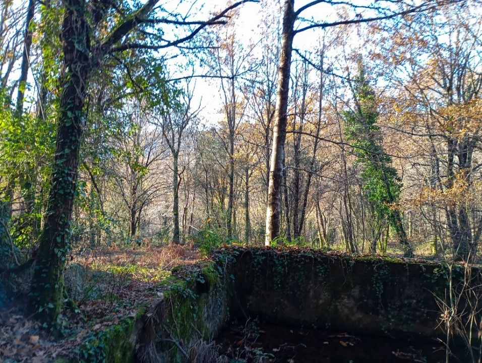 Quinta para Venda em Mosteiro Foto 2