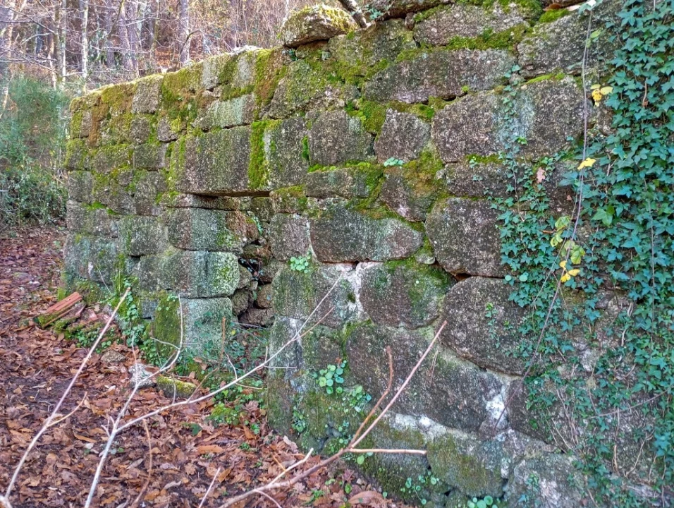 Quinta para Venda em Mosteiro Foto 6