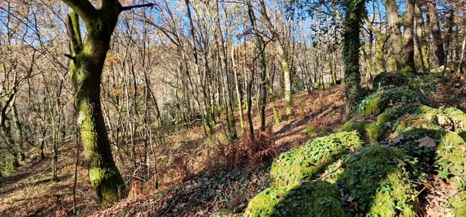 Quinta para Venda em Mosteiro Foto 21