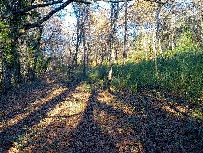 Quinta para Venda em Mosteiro Foto 10