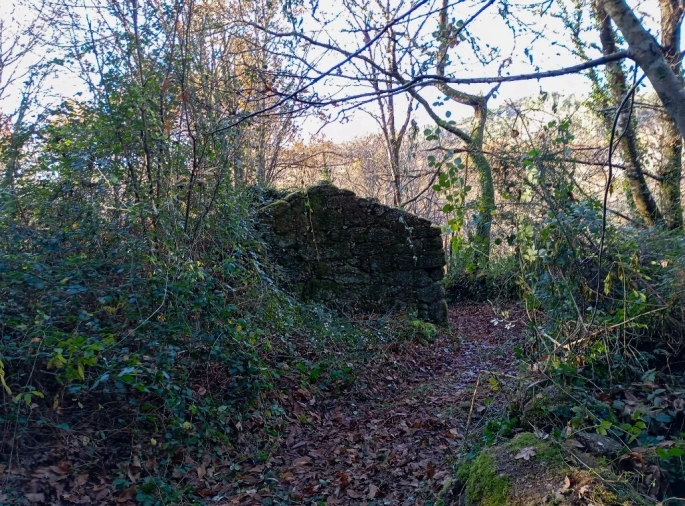 Quinta para Venda em Mosteiro Foto 4