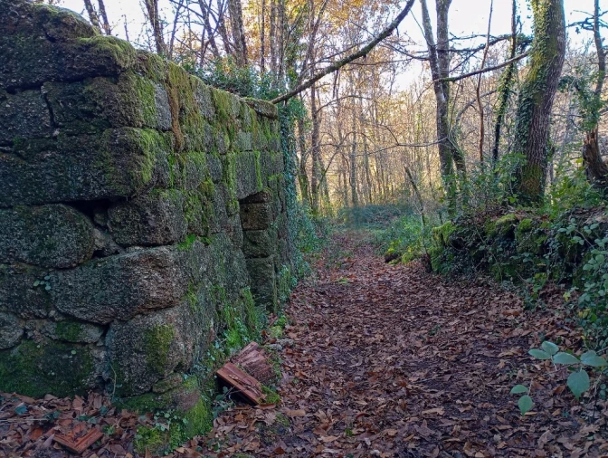 Quinta para Venda em Mosteiro