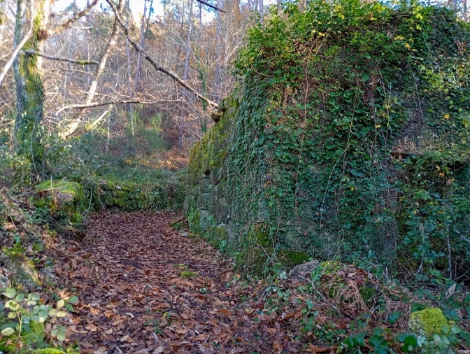 Quinta para Venda em Mosteiro Foto 7