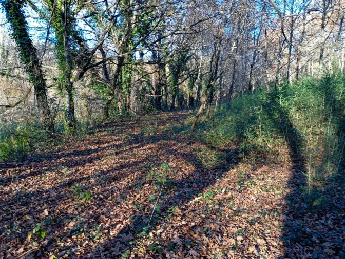 Quinta para Venda em Mosteiro Foto 11
