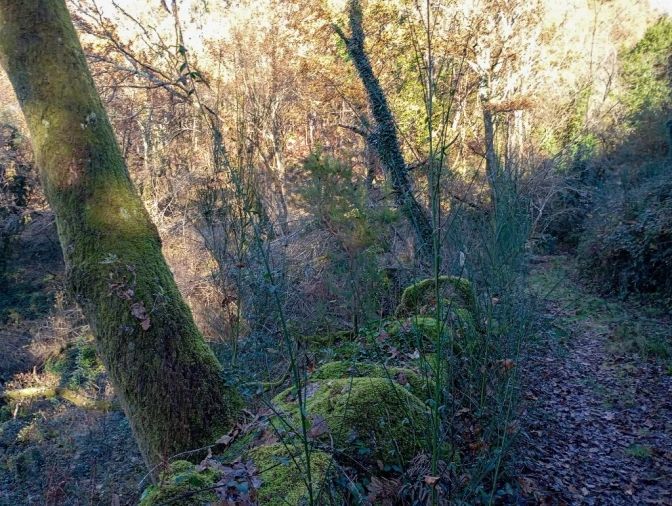 Quinta para Venda em Mosteiro Foto 18