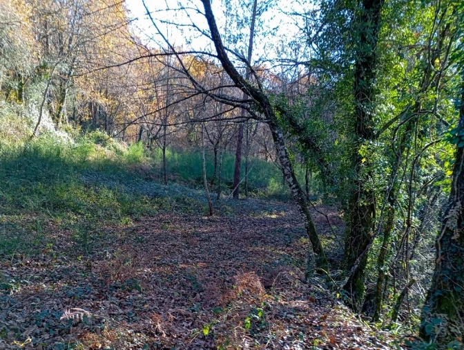 Quinta para Venda em Mosteiro Foto 9