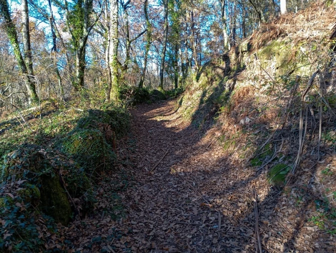 Quinta para Venda em Mosteiro Foto 16