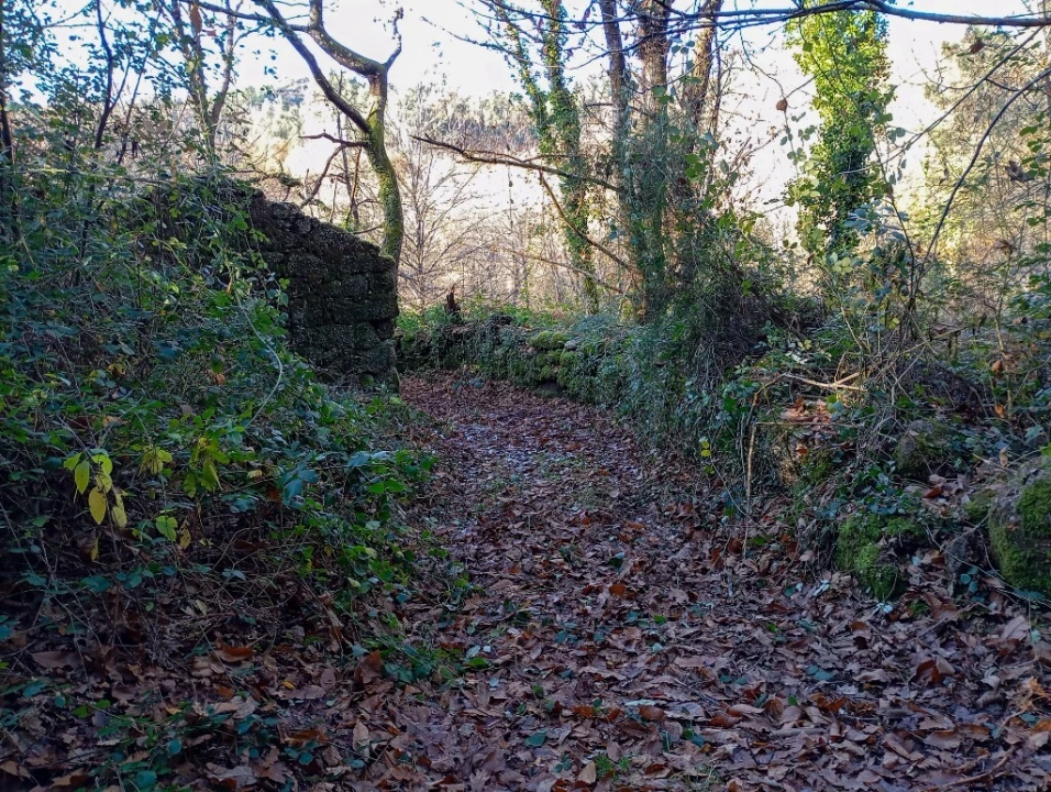 Quinta para Venda em Mosteiro Foto 5