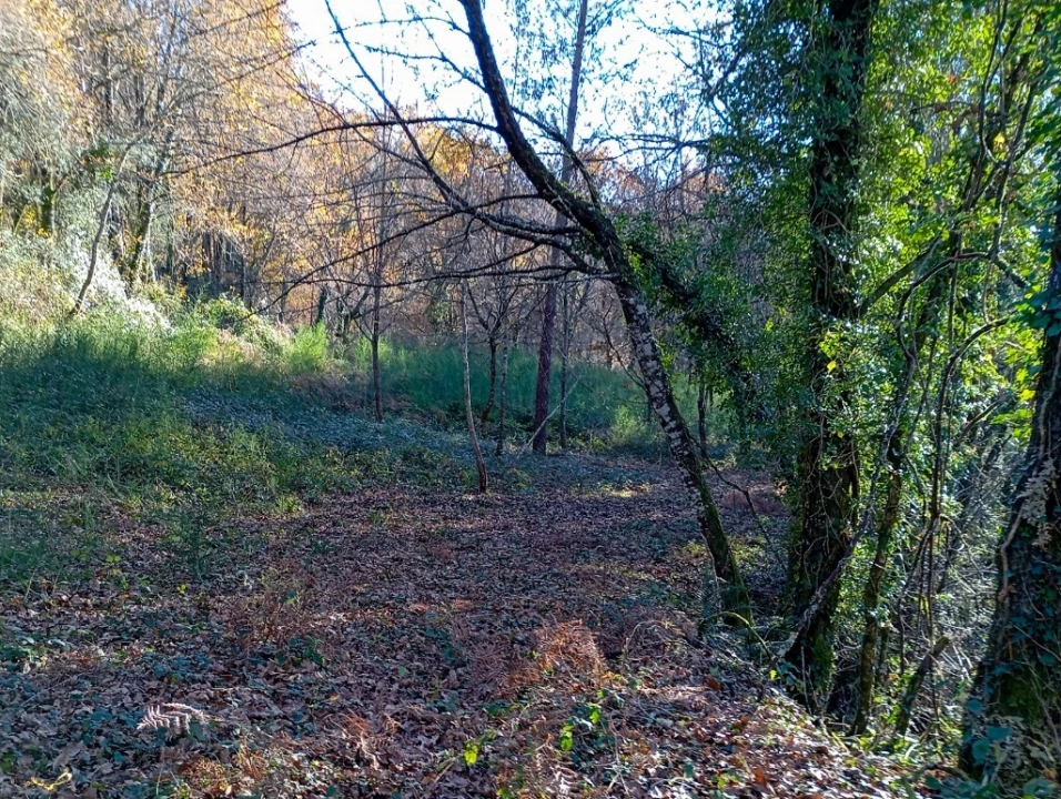 Quinta para Venda em Mosteiro Foto 9