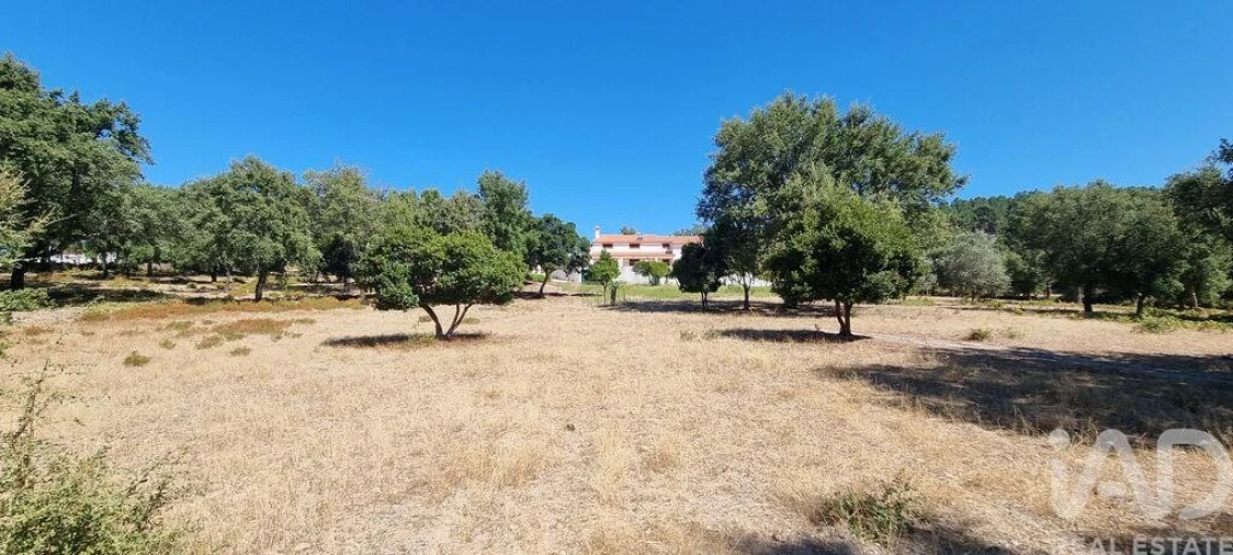 Moradia T5 para Venda em Reguengo e São Julião Foto 17