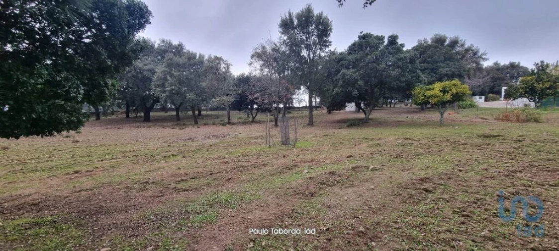 Moradia T5 para Venda em Reguengo e São Julião Foto 6