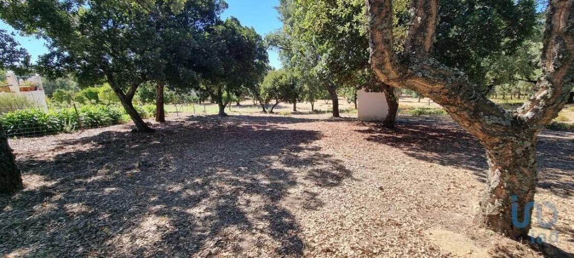 Moradia T5 para Venda em Reguengo e São Julião Foto 8