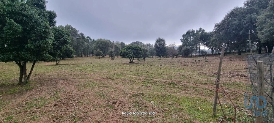 Moradia T5 para Venda em Reguengo e São Julião Foto 7