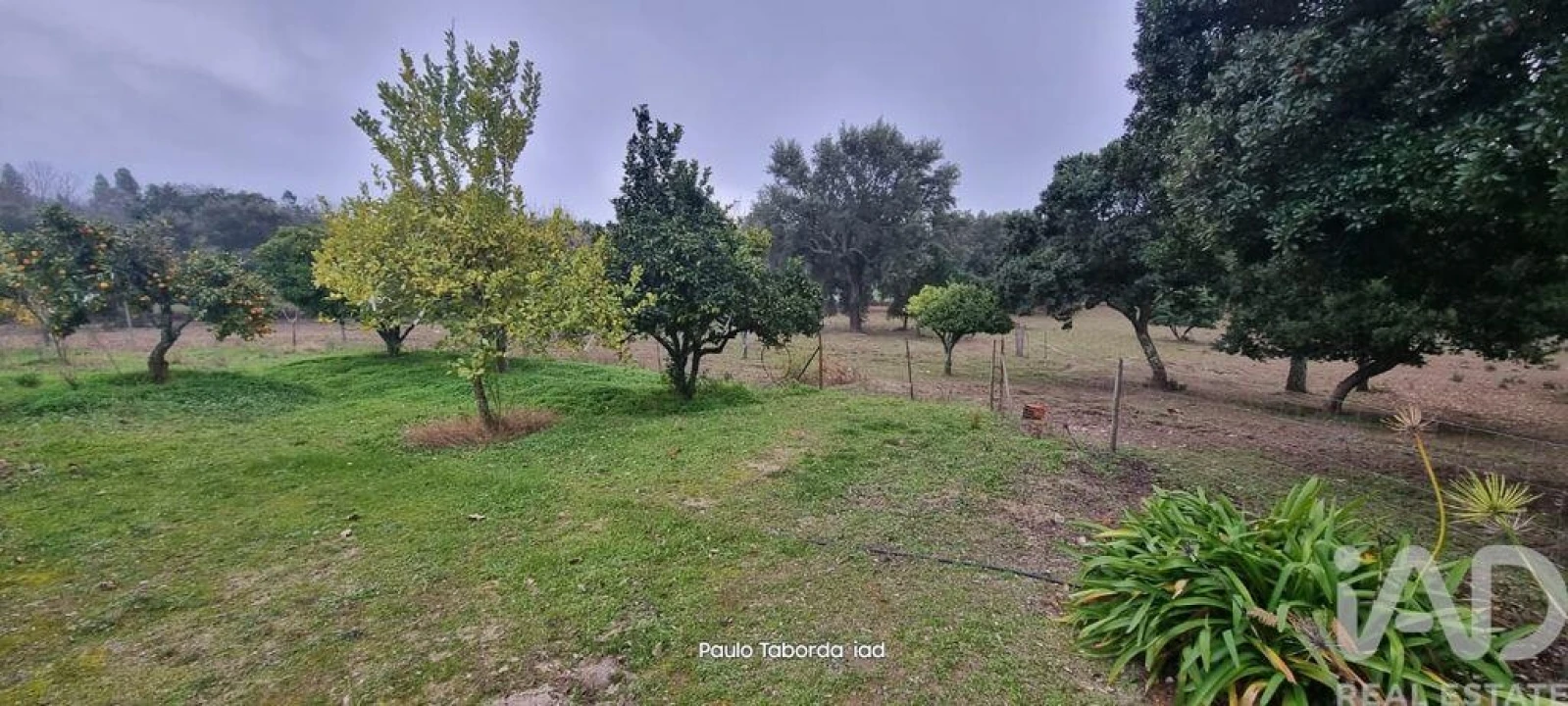 Moradia T5 para Venda em Reguengo e São Julião Foto 18