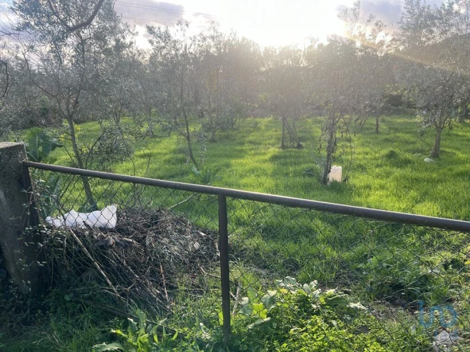 Moradia T3 para Venda em Santa Cruz da Trapa e São Cristóvão de Lafões Foto 3