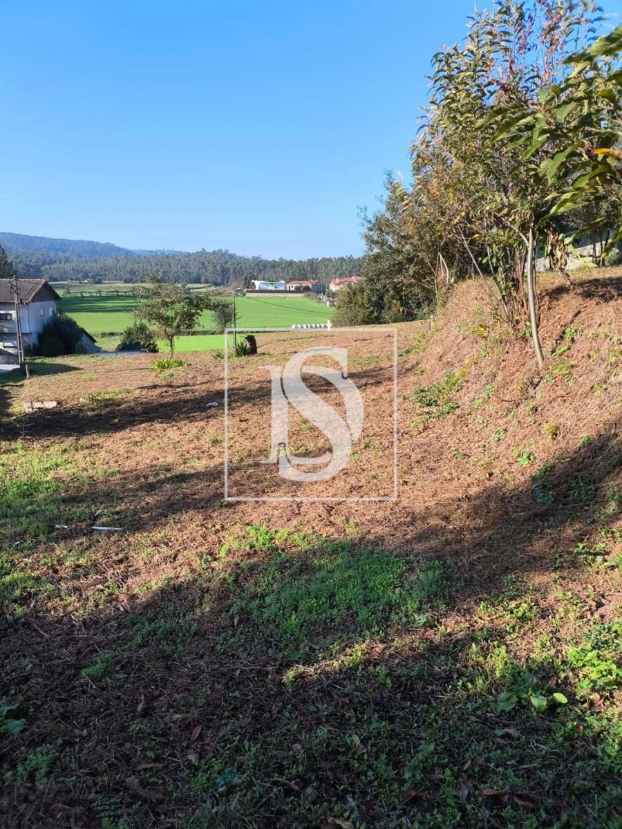 Terreno para Venda em Chorente, Góios, Courel, Pedra Furada e Gueral Foto 5