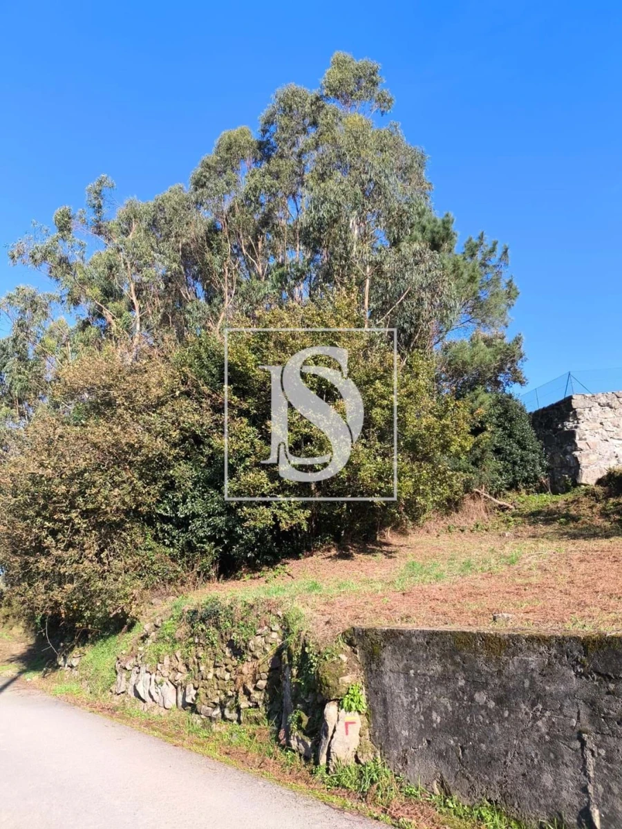 Terreno para Venda em Chorente, Góios, Courel, Pedra Furada e Gueral Foto 15