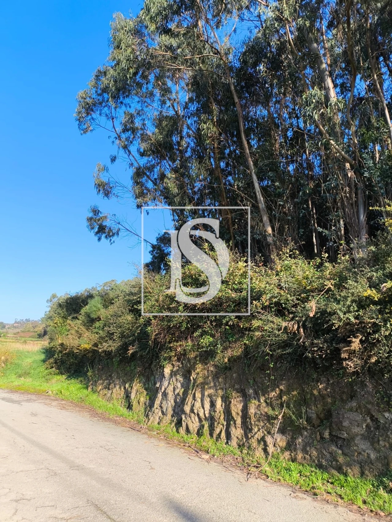 Terreno para Venda em Chorente, Góios, Courel, Pedra Furada e Gueral Foto 38