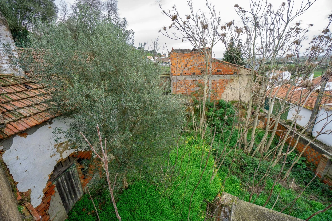 Armazém para Venda em Chamusca e Pinheiro Grande Foto 6