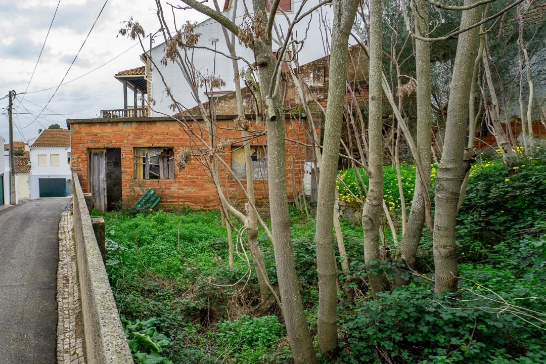 Armazém para Venda em Chamusca e Pinheiro Grande Foto 10