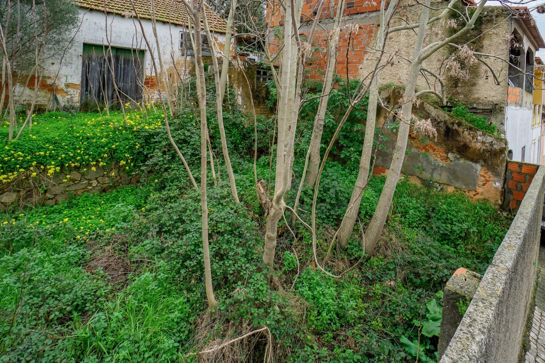 Armazém para Venda em Chamusca e Pinheiro Grande Foto 27