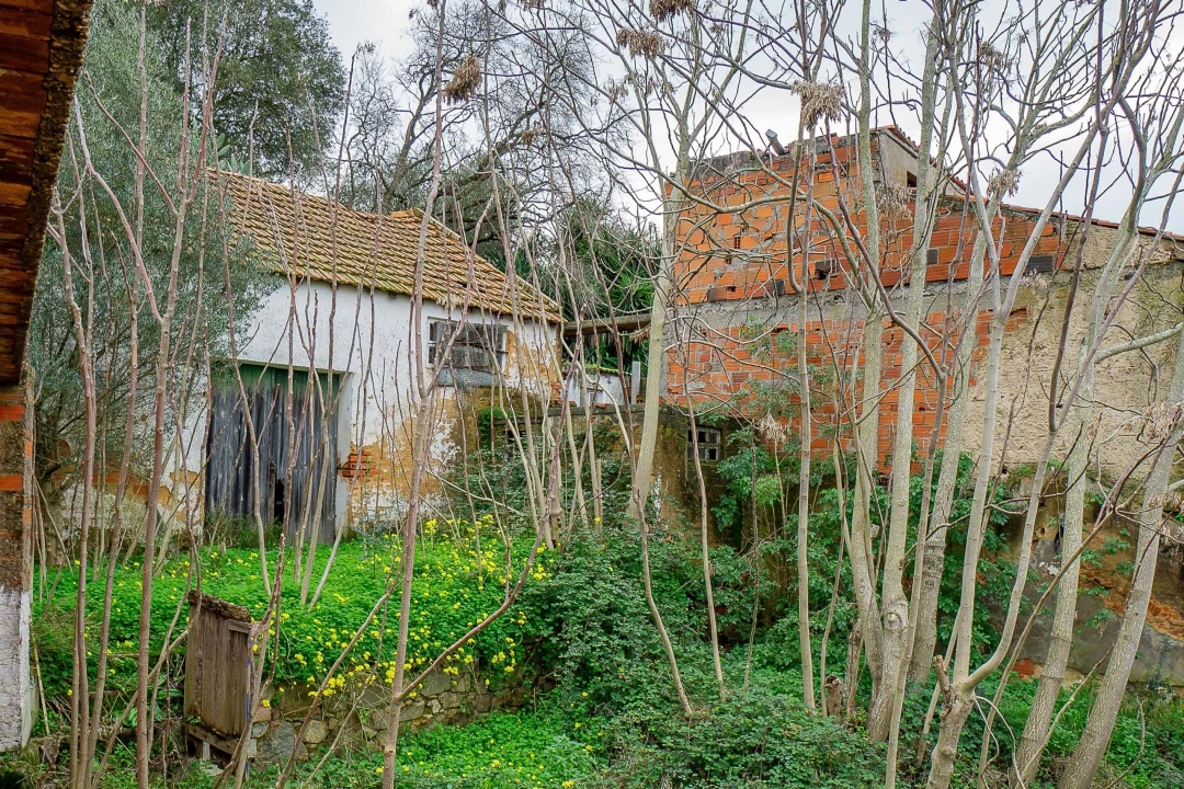 Armazém para Venda em Chamusca e Pinheiro Grande Foto 15