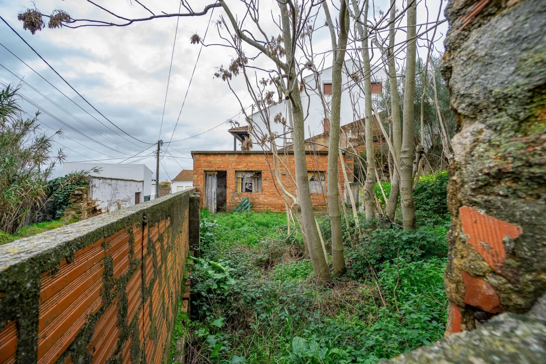 Armazém para Venda em Chamusca e Pinheiro Grande Foto 16