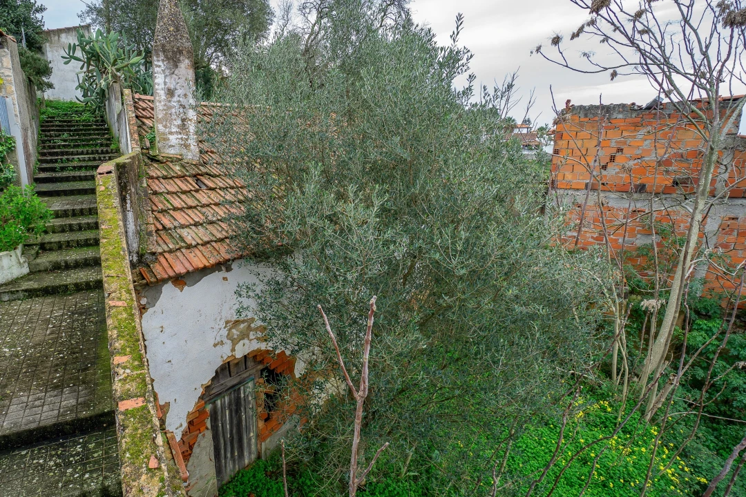 Armazém para Venda em Chamusca e Pinheiro Grande Foto 7