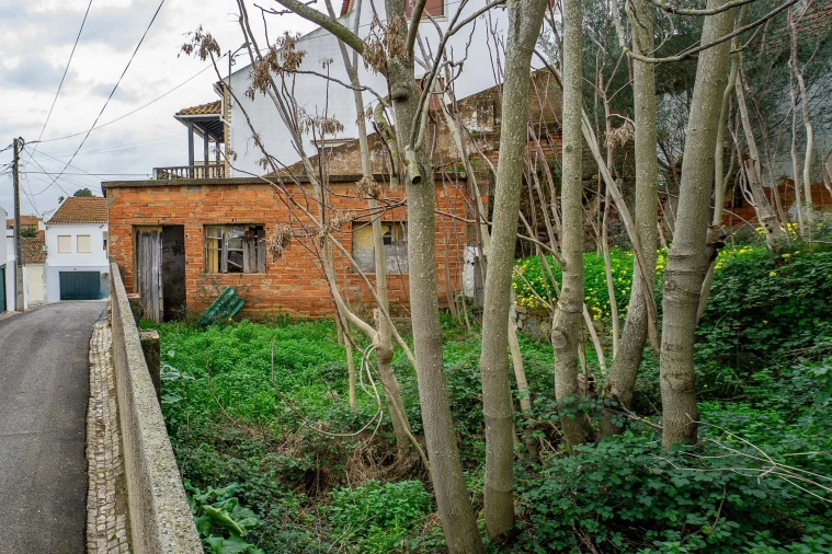 Armazém para Venda em Chamusca e Pinheiro Grande Foto 10