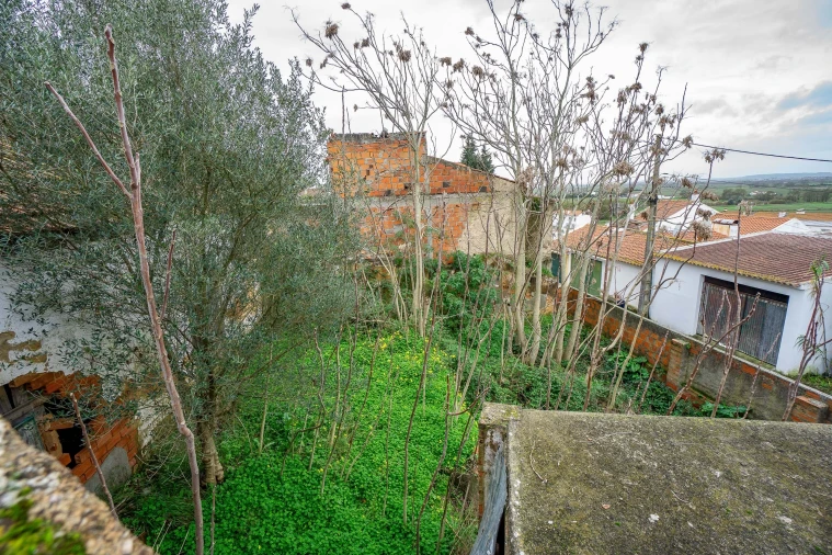 Armazém para Venda em Chamusca e Pinheiro Grande Foto 5