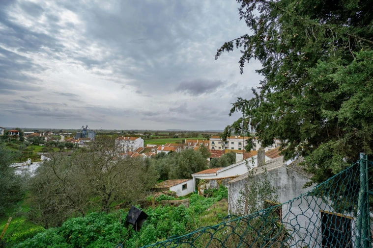 Armazém para Venda em Chamusca e Pinheiro Grande Foto 20