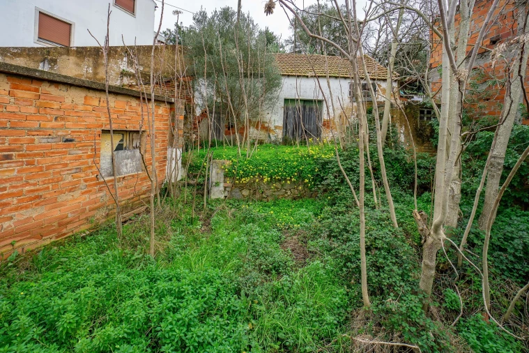 Armazém para Venda em Chamusca e Pinheiro Grande Foto 26