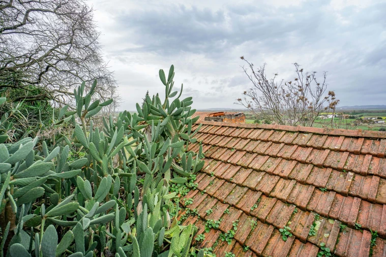 Armazém para Venda em Chamusca e Pinheiro Grande Foto 3