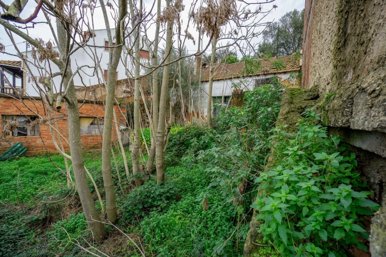 Armazém para Venda em Chamusca e Pinheiro Grande Foto 17