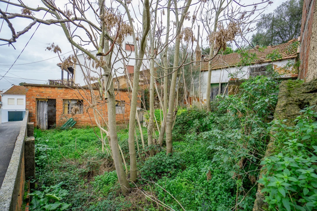 Armazém para Venda em Chamusca e Pinheiro Grande Foto 18