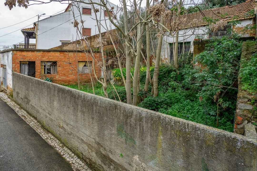 Armazém para Venda em Chamusca e Pinheiro Grande Foto 9
