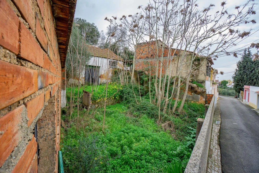 Armazém para Venda em Chamusca e Pinheiro Grande Foto 14