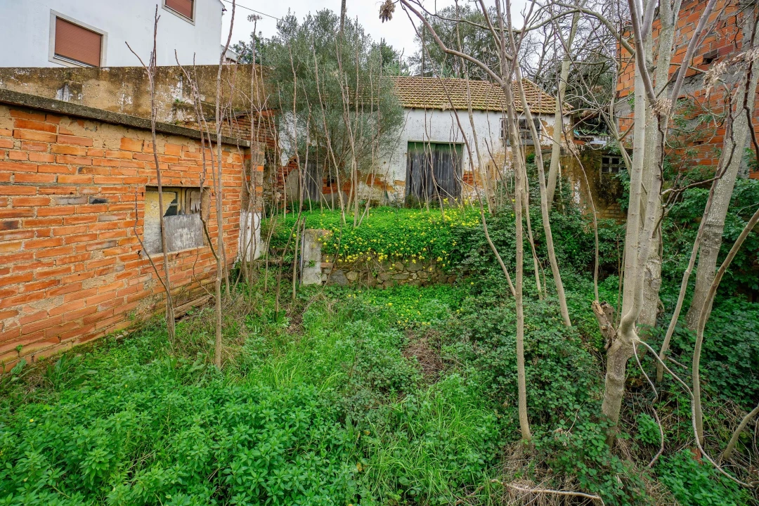 Armazém para Venda em Chamusca e Pinheiro Grande Foto 26