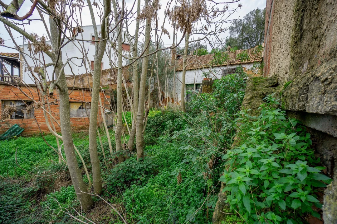 Armazém para Venda em Chamusca e Pinheiro Grande Foto 17